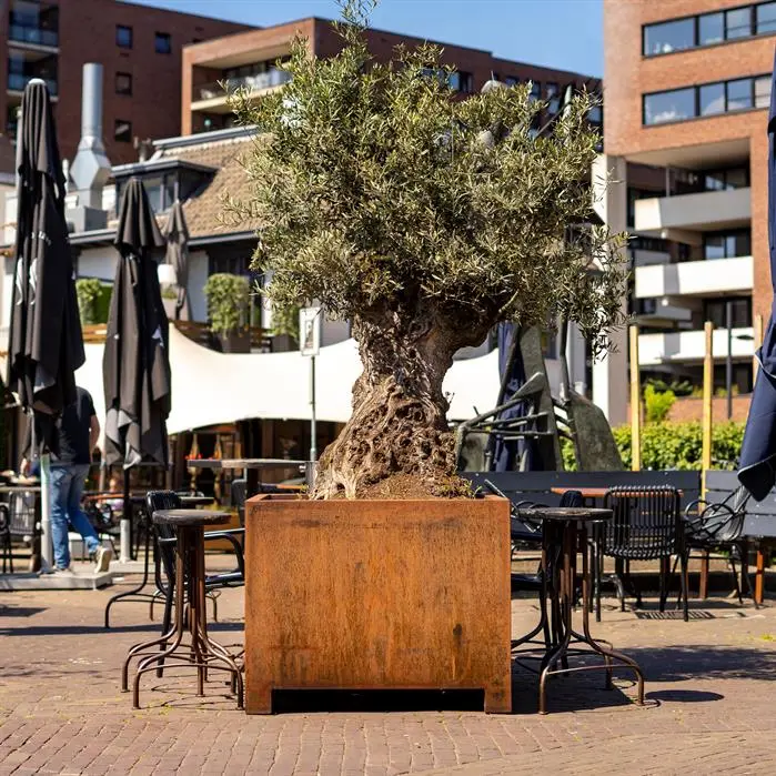 cortenstaal plantenbak met poten